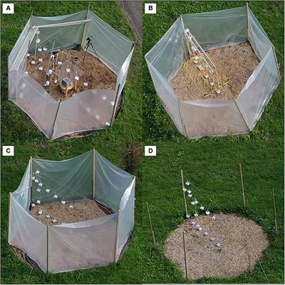 Assessing the Effectiveness of in-situ Active Warming Combined With Open Top Chambers to Study Plant Responses to Climate Change